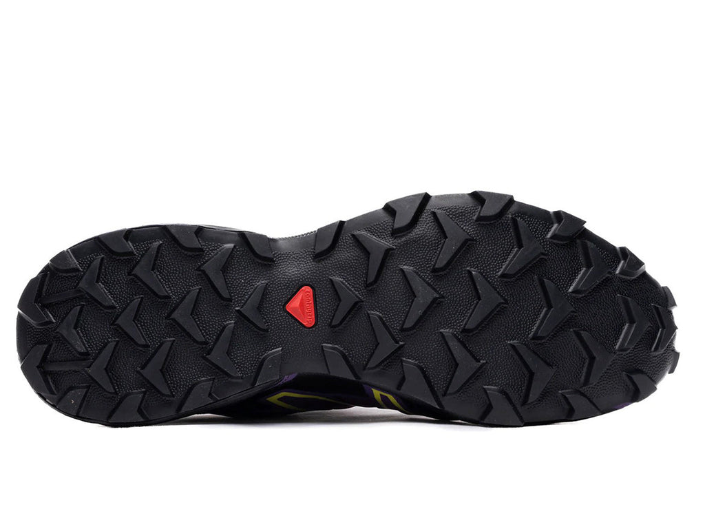 SPEEDCROSS 3 - plum caspia / black / crown jewel