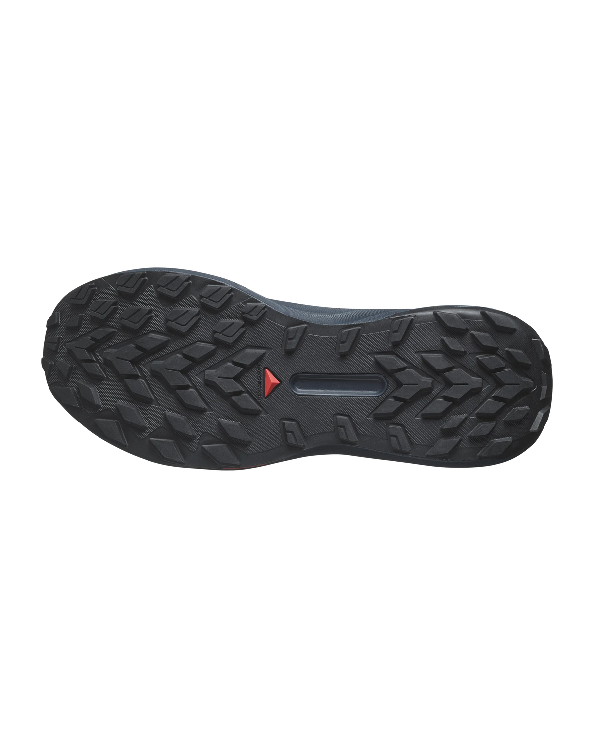Salomon GENESIS  Carbon / Tahitian Tide / Quiet Shade